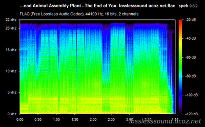 Dead Animal Assembly Plant - The End of You - spectrogram