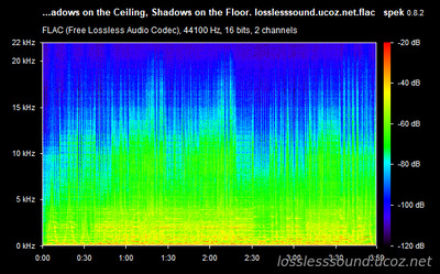 Raven Said - Shadows on the Ceiling, Shadows on the Floor- spectrogram