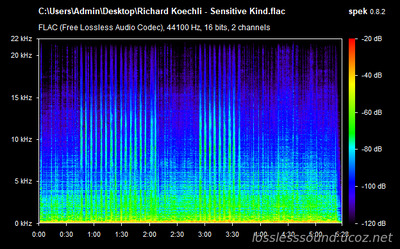 Richard Koechli - Sensitive Kind - spectrogram