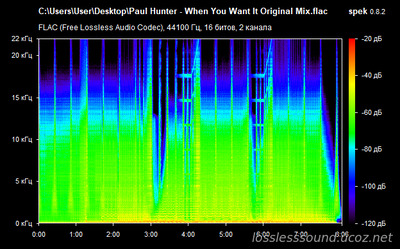 Paul Hunter - When You Want It - spectrogram