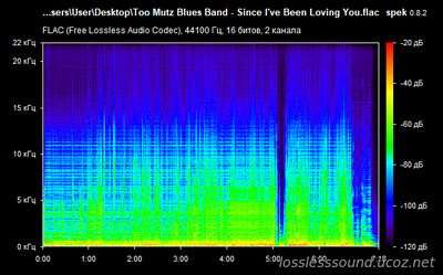 Too Mutz Blues Band - Since I've Been Loving You - spectrogram