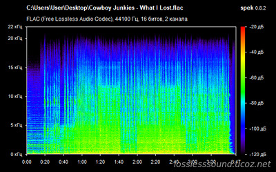 Cowboy Junkies - What I Lost - spectrogram