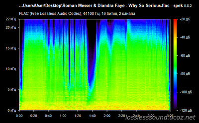 Roman Messer & Diandra Faye - Why So Serious - spectrogram