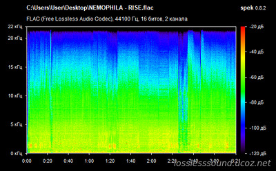 NEMOPHILA - RISE - spectrogram