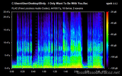 Birdy - I Only Want To Be With You - spectrogram