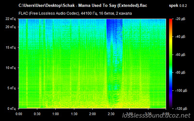 Schak - Mama Used To Say (Extended) - spectrogram