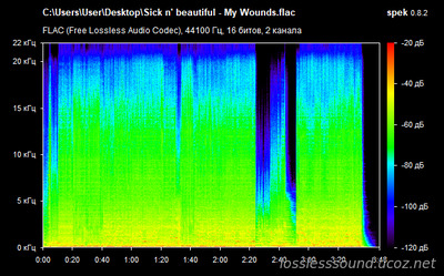 Sick n' beautiful - My Wounds - spectrogram